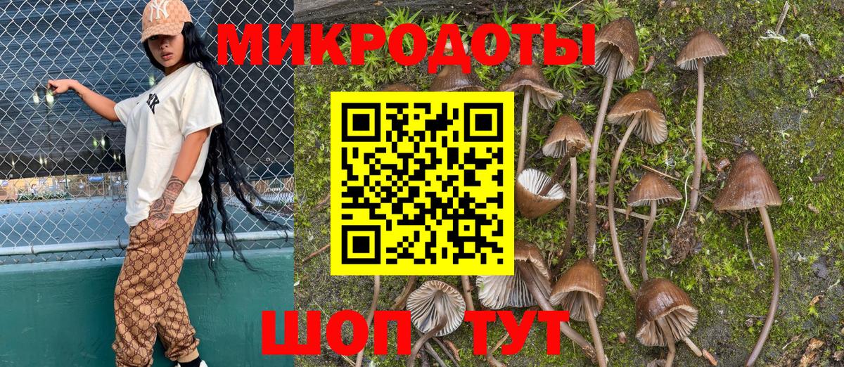 Галлюциногенные грибы MAGIC MUSHROOMS  Псилоцибиновые грибы Cubensis  Озёрск  Вход с VPN 